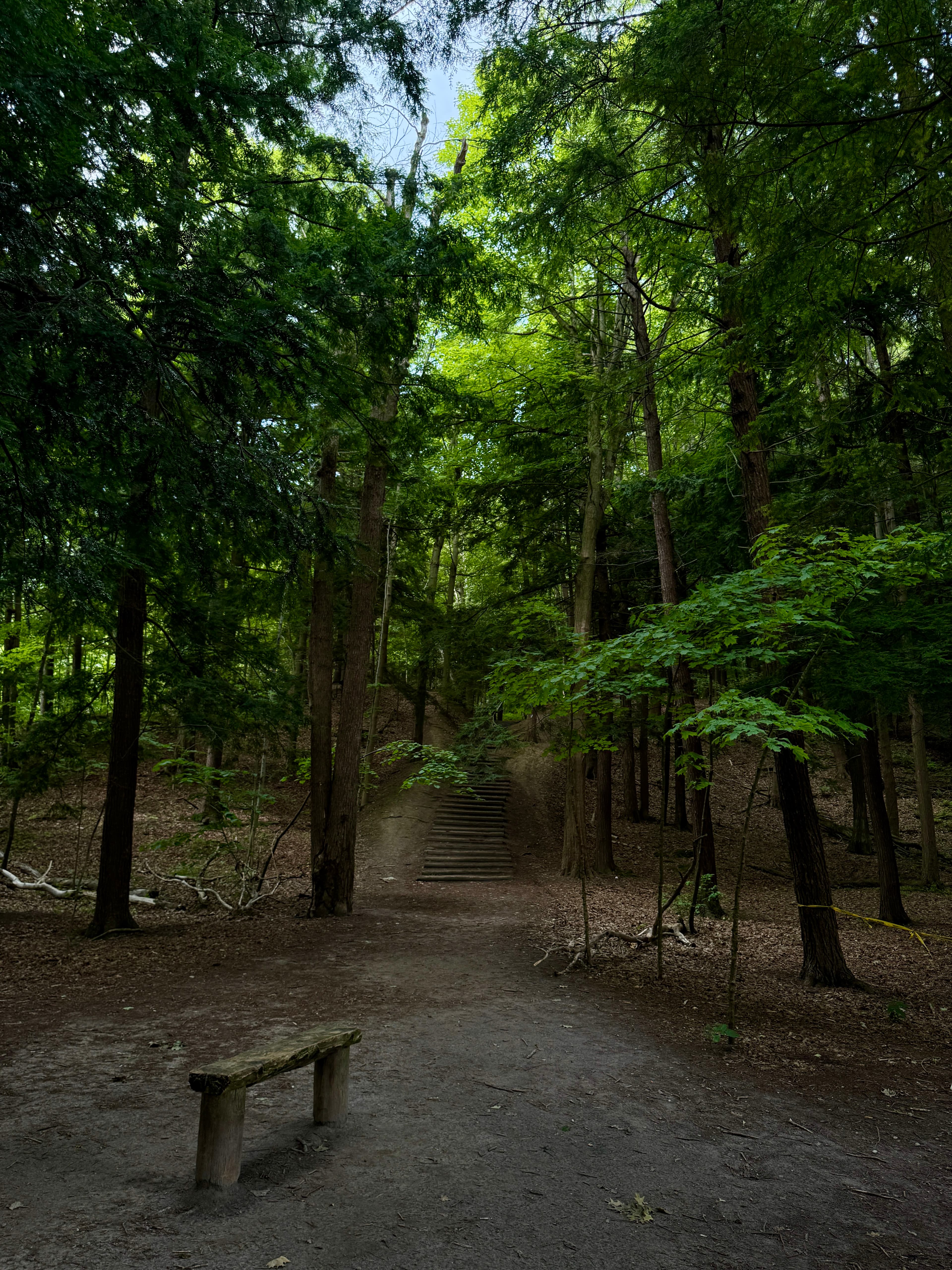 Rogue Park